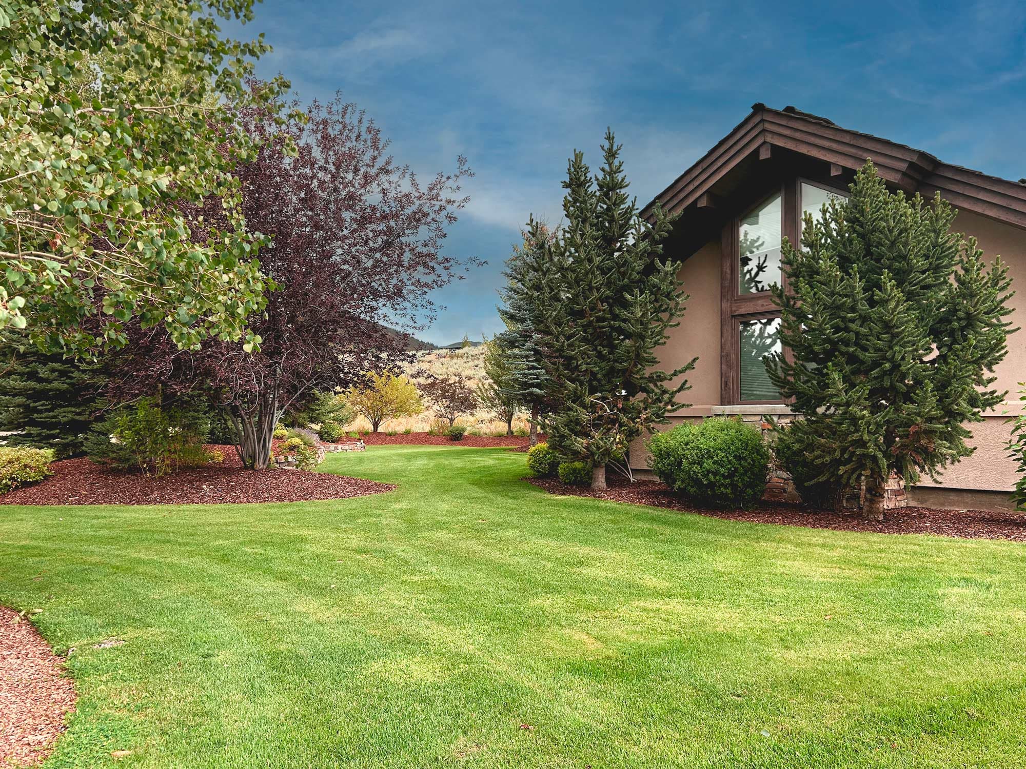 The beautiful approach to the home in summer, showing the large windows and side path to the backyard